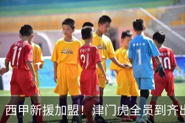 西甲新援加盟！津门虎全员到齐出征重庆，争取至少1分，避免再遇危机