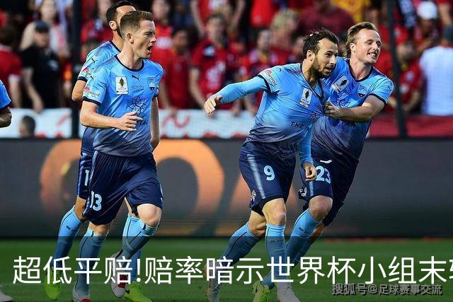 超低平赔!赔率暗示世界杯小组末轮一场默契球?